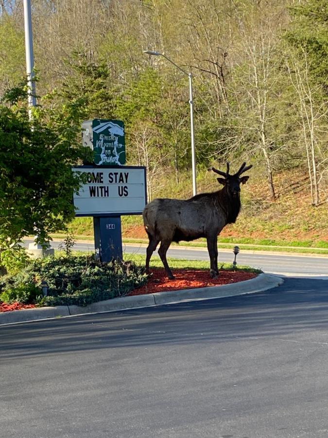 Smoky Mountain Inn & Suites Cherokee Bagian luar foto